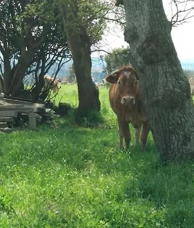 Casa Rústica Con Encanto. Σπίτι διακοπών